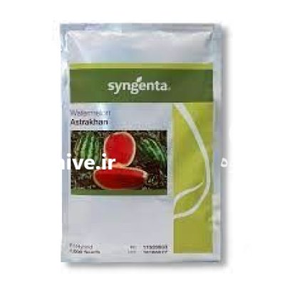 بذر هندوانه آستاراخان استراخان در ایمانشهر در گروه خرید و فروش بذر هندوانه در یکمیوه -عکس1