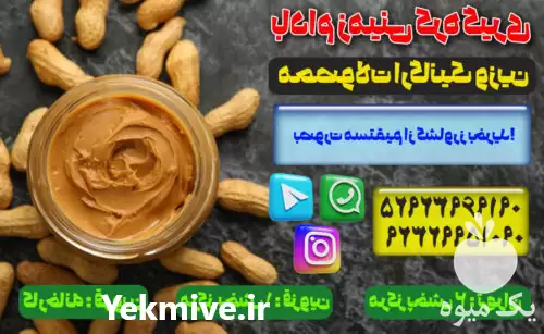 فروش بهترین بادام زمینی برای کره در گروه خرید و فروش بادام در یکمیوه -عکس1