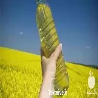 قیمت خرید روغن کلزا در مشهد در گروه خرید و فروش انواع روغن در یکمیوه