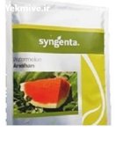 بذر هندوانه آرشان سینجنتا در تفرش در گروه خرید و فروش بذر هندوانه در یکمیوه