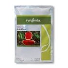 بذر هندوانه آستاراخان استراخان در ایمانشهر در گروه خرید و فروش بذر هندوانه در یکمیوه