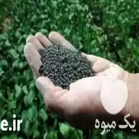 اصلاح و تقویت خاک کشاورزی در تهران در گروه خرید و فروش کود کامل در یکمیوه
