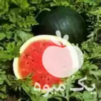قیمت خرید مواد غذایی ضروری گیاه در تهران در گروه خرید و فروش انواع کود کشاورزی در یکمیوه