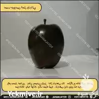 خرید نهال سیب جرومین اصل در تهران در گروه خرید و فروش نهال میوه در یکمیوه