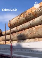 فروش انواع چوب صادقی صنوبر ذغالی در گروه خرید و فروش انواع چوب در یکمیوه