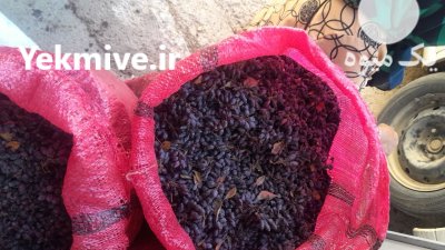 زرشک کوهی آبگیری دارم در سمنان در گروه خرید و فروش زرشک در یکمیوه -عکس2