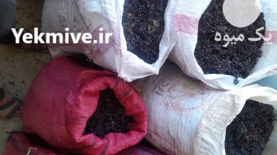 زرشک کوهی آبگیری دارم در سمنان در گروه خرید و فروش زرشک در یکمیوه -عکس1