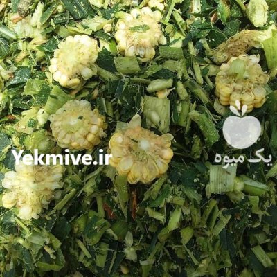 فروش ذرت علوفه ای در دولت آباد در گروه خوراک دام و طیور در یکمیوه -عکس1