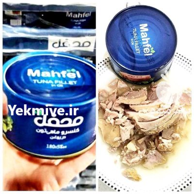 فروش انواع تن ماهی صادراتی در تهران در گروه خرید و فروش انواع ماهی در یکمیوه -عکس2