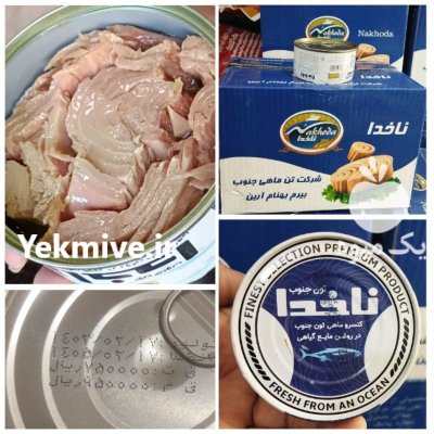 فروش انواع تن ماهی صادراتی در تهران در گروه خرید و فروش انواع ماهی در یکمیوه -عکس4