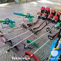 قیمت خرید علف زن علف تراش در تهران در گروه علف تراش و علف زن در یکمیوه