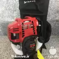 قیمت خرید علف زن در تهران در گروه علف تراش و علف زن در یکمیوه