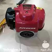 قیمت خرید علف زن در تهران در گروه علف تراش و علف زن در یکمیوه