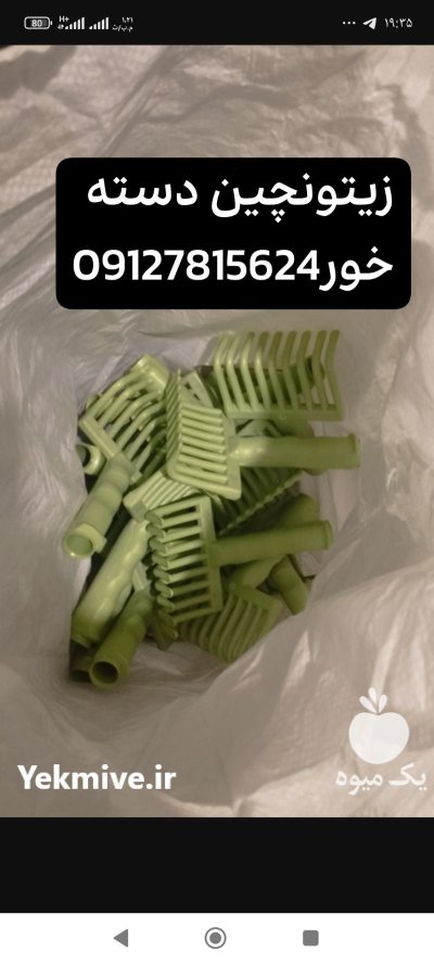 زیتون چین چنگک شانه برگ جمع در گروه خرید و فروش زیتون در یکمیوه -عکس1