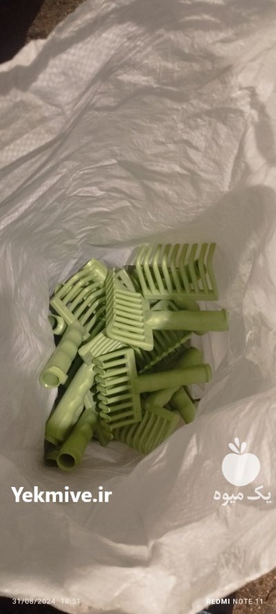 زیتون چین چنگک شانه برگ جمع در گروه خرید و فروش زیتون در یکمیوه -عکس3