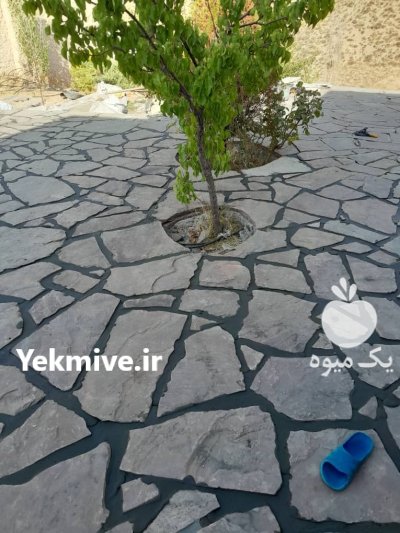اجرای سنگ مالون فروش سنگ مالون در آبسرد در گروه سازنده در یکمیوه -عکس2