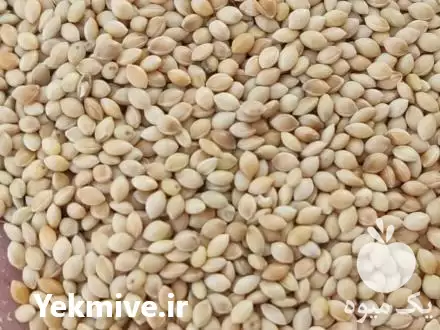 قیمت خرید ارزن ایرانی تناژ در مرودشت در گروه خرید و فروش غلات و حبوبات در یکمیوه -عکس1