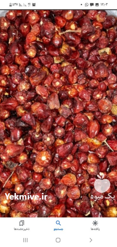 فلفل عنابی خشک در اصفهان در گروه خرید و فروش فلفل در یکمیوه -عکس1