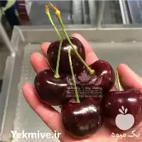 قیمت خرید نهال گیلاس دلارکا در تهران در گروه خرید و فروش نهال میوه در یکمیوه