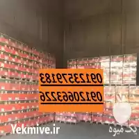 فروش بذر چفندرقند بهار و پائیز در تهران در گروه خرید و فروش بذر چغندر در یکمیوه