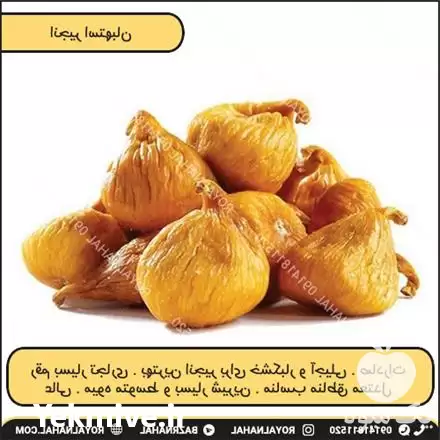 فروش نهال انجیر استهبان در تهران در گروه خرید و فروش نهال در یکمیوه -عکس1