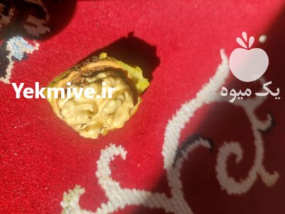 فروش گردو تازه امسالی در مشهد در گروه خرید و فروش گردو در یکمیوه -عکس1