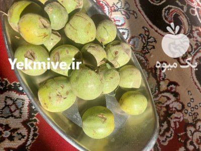 فروش گردو تازه امسالی در مشهد در گروه خرید و فروش گردو در یکمیوه -عکس2