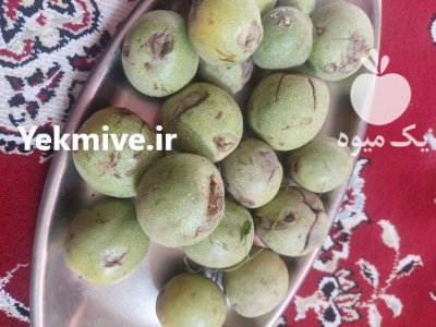 فروش گردو تازه امسالی در مشهد در گروه خرید و فروش گردو در یکمیوه -عکس4