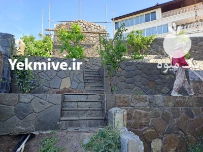 اجرای سنگ مالون فروش سنگ مالون در گروه سازنده در یکمیوه -عکس3