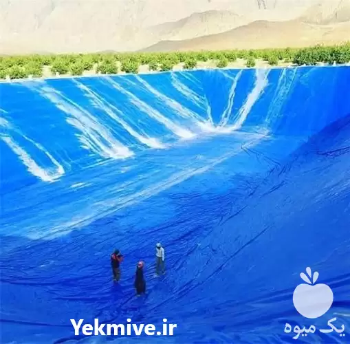 فروش ساخت استخر ژئوممبران در گروه خرید و فروش ژئوممبران و ژئوتکستایل در یکمیوه -عکس1