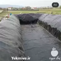 قیمت خرید پوشش استخر کشاورزی ژئوممبران در گروه خرید و فروش ژئوممبران و ژئوتکستایل در یکمیوه