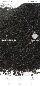 فروش بذر فرنجمشک در اصفهان در گروه خرید و فروش انواع بذر در یکمیوه