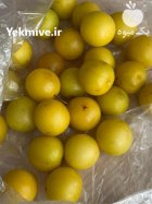 آگهی مشابه فعال در حوزه آلو و کشمش در گروه خرید و فروش آجیل در یکمیوه