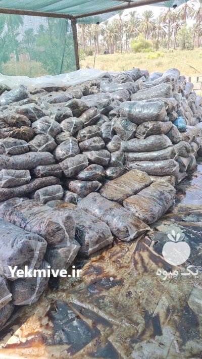 ضایعات خرما ضایعات خرما در کرمان در گروه خرید و فروش خرما در یکمیوه -عکس1