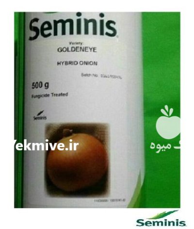 فروش بذر پیاز طلایی گلدن ای در گروه خرید و فروش بذر پیاز در یکمیوه -عکس1