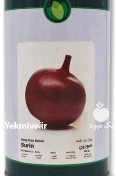 بذر پیاز قرمز سورین فلات در ایوان  در گروه خرید و فروش بذر پیاز در یکمیوه -عکس1