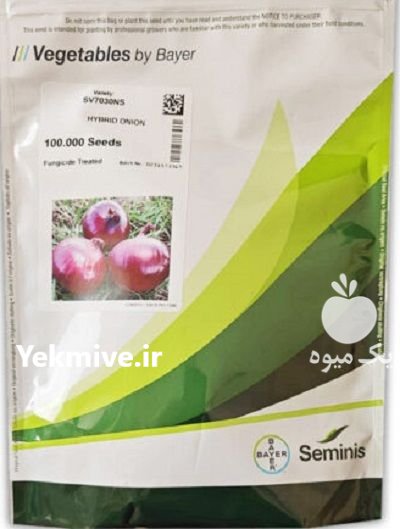 فروش بذر پیاز قرمز 7030 سمینیس در گروه خرید و فروش بذر پیاز در یکمیوه -عکس1
