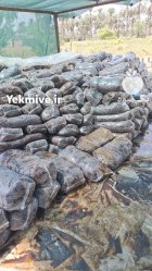 ضایعات خرما ضایعات خرما در کرمان در گروه خرید و فروش خرما در یکمیوه