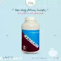 فروش کود مایع بالانسر استولر در کرج در گروه خرید و فروش کود مایع در یکمیوه