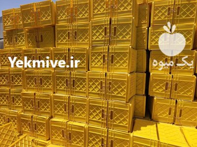 تولید فروش انواع سبد جبه پلاستیکی در تهران در گروه خرید و فروش انواع سبد در یکمیوه -عکس2