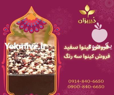 فروش کینوا پرو سه رنگ در ری  در گروه خرید و فروش ادویه در یکمیوه -عکس1
