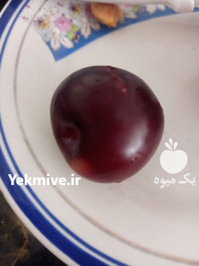 فروش آلو شابلون در خراجو در گروه خرید و فروش آلو در یکمیوه -عکس1