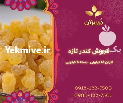 فروش کندر تازه و روغن کندر در گروه خرید و فروش انواع روغن در یکمیوه -عکس1
