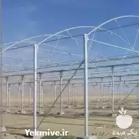 احداث گلخانه طراحی در گروه سازنده در یکمیوه