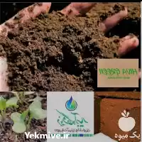 قیمت خرید کوکوپیت درجه یک سریلانکا در گروه خرید و فروش انواع کود کشاورزی در یکمیوه