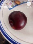 فروش آلو شابلون در خراجو در گروه خرید و فروش آلو در یکمیوه