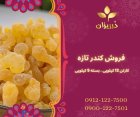 فروش کندر تازه و روغن کندر در گروه خرید و فروش انواع روغن در یکمیوه