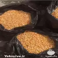 فروش جو ذرت گندم کنجاله سویا در تهران در گروه خرید و فروش گندم و جو در یکمیوه