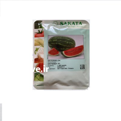 بذر هندوانه ساکاتا ارسال رایگان در مشهد در گروه خرید و فروش بذر هندوانه در یکمیوه -عکس1