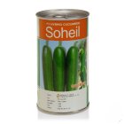 بذر خیار سهیل خرید ارزان در گروه خرید و فروش بذر خیار در یکمیوه